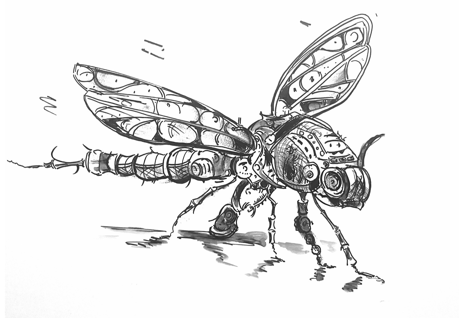 Dessin original de Frédéric Pierrat présenté dans la galerie de La Rochelle